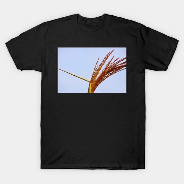 This way & that... T-Shirt by LaurieMinor